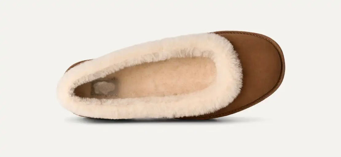 Fall Ballet Flat Slipper